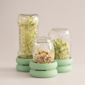 sprout huggers allow you to grow your own seeds with your recycled jars