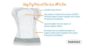 Thirsties Stay-Dry Natural One-Size All in One Cloth Diaper, shown in 2022 Stepping Stones River rock print