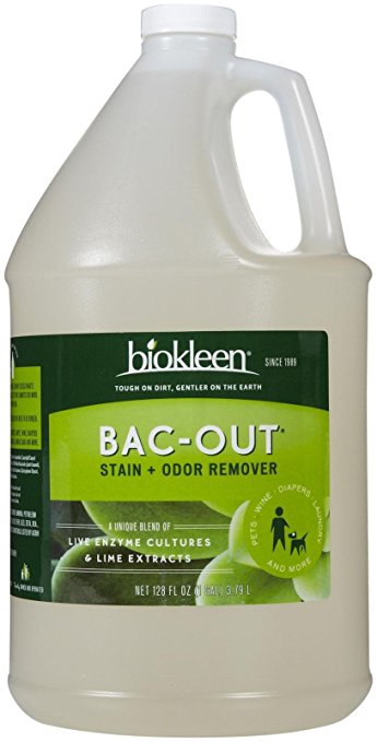 Biokleen Bac-Out Stain + Odor Remover for Your Safe, Natural Home