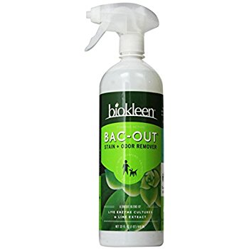 Biokleen Bac-Out Stain + Odor Remover for Your Safe, Natural Home -  Jillian's Drawers