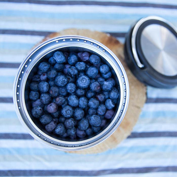 http://jilliansdrawers.com/cdn/shop/products/blueberries-in-klean-kanteen-tk-canister-food-container_600x.jpg?v=1618962820