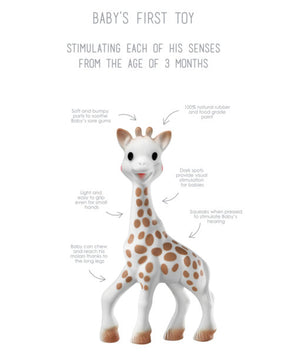 sophie the giraffe sits 7 inches tall and is white with brown spots and hooves and black eyes