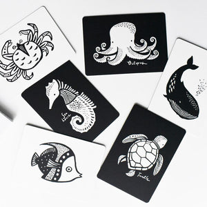 Wee gallery pets black and white art cards depicting a dog, cat, rabbit, hamster, goldfish, and iguana