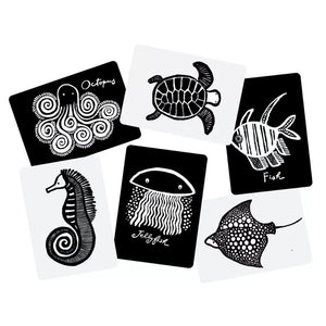 Wee gallery pets black and white art cards depicting a dog, cat, rabbit, hamster, goldfish, and iguana