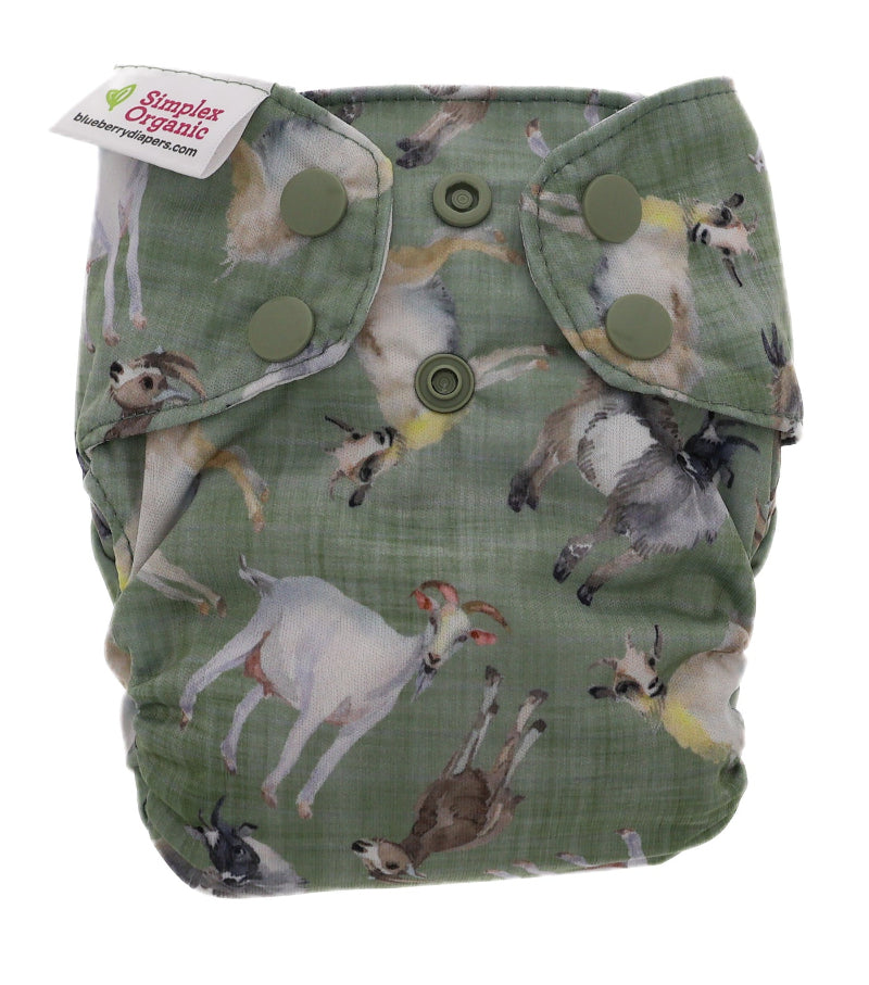 Blueberry NEWBORN Simplex Organic All-in-One Diaper, Blueberry print, purple and blue blueberries on mint green background, made in USA,  6-16 pounds