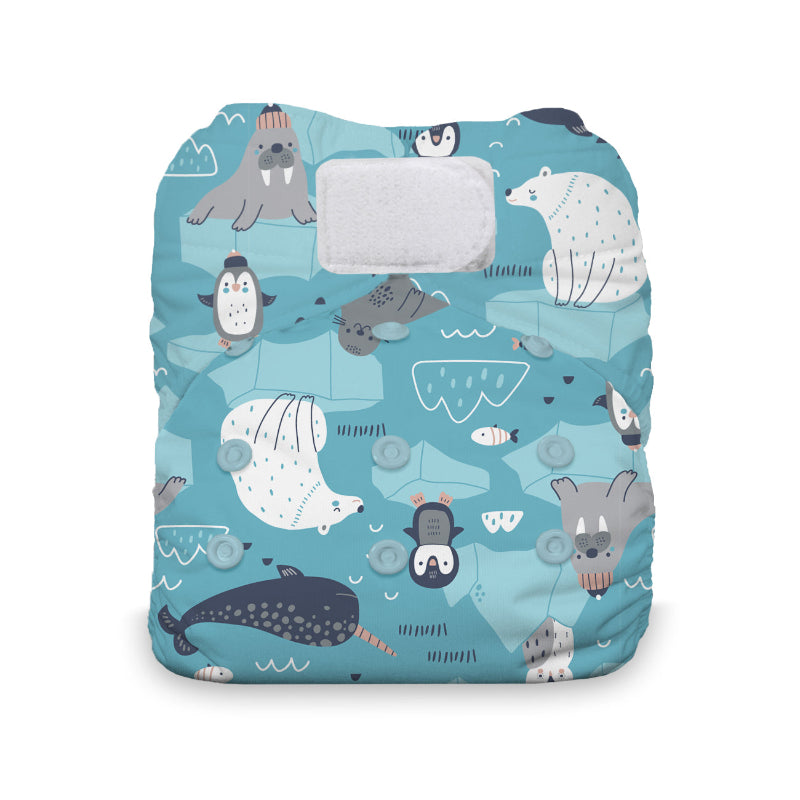 Thirsties Natural All in one diaper on baby, made in the usa, blackbird print