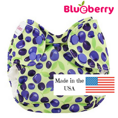 Blueberry Newborn Simplex AIO Organic Cotton – Sterling & Me