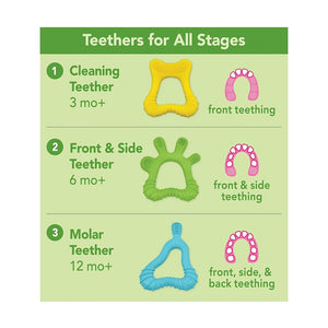 green sprouts front & side teether is made from BPA and PVC-free silicone for baby’s health and well-being